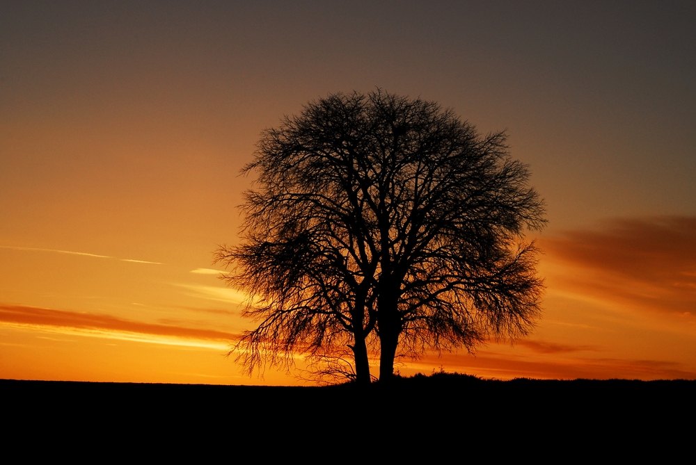 Tot sol