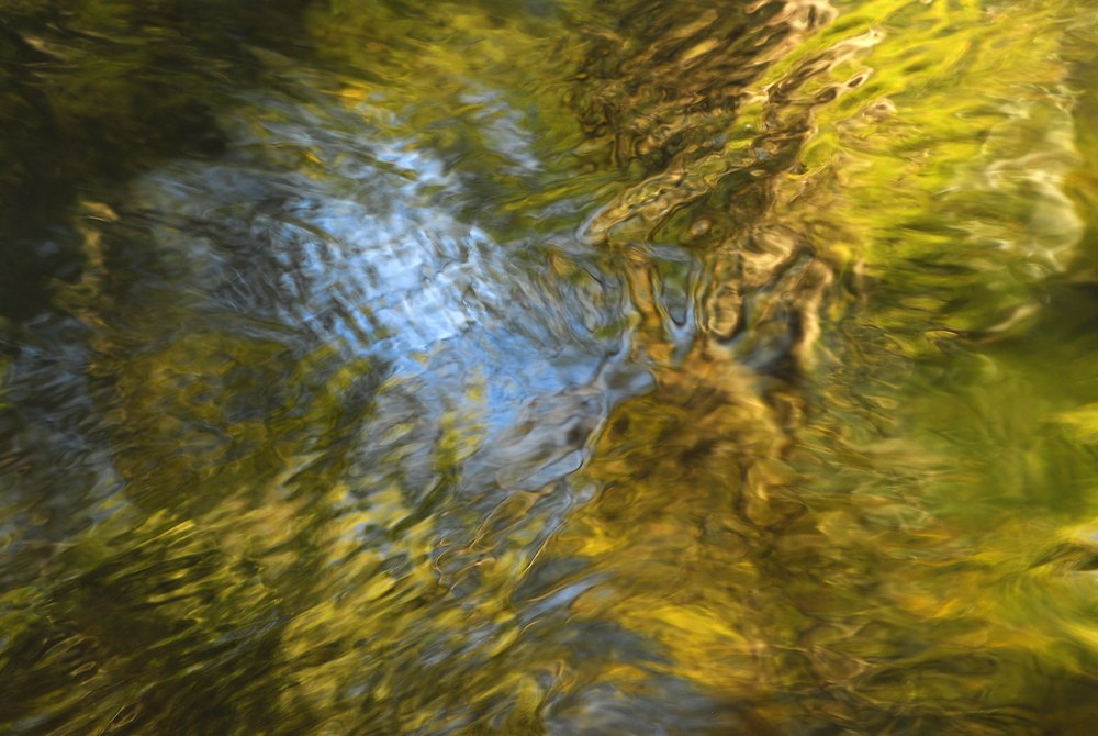 L'art del riu XI